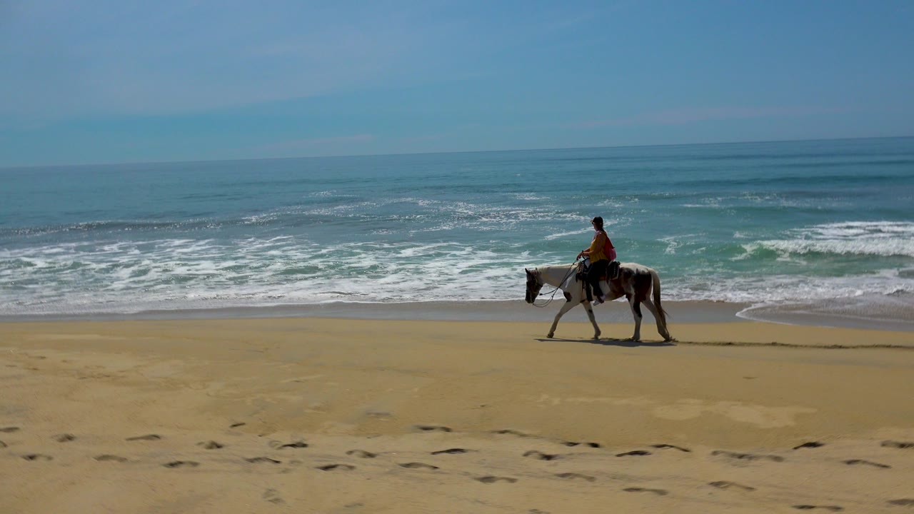 At 0:00, a horse with a distant rider walks along the San Jose Del Cabo beach, with rolling surf behind them, footprints in the foreground, and no recognizable face visible.