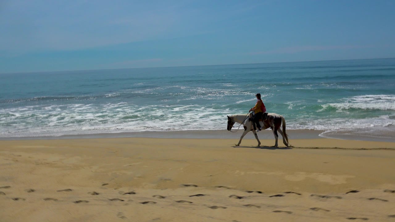 Horse and rider moving across wet sand with waves breaking in the background.