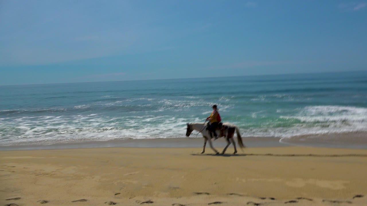 At 0:02, the horse and distant rider appear farther right in the San Jose Del Cabo beach frame, with foamy surf behind them and no recognizable face visible.