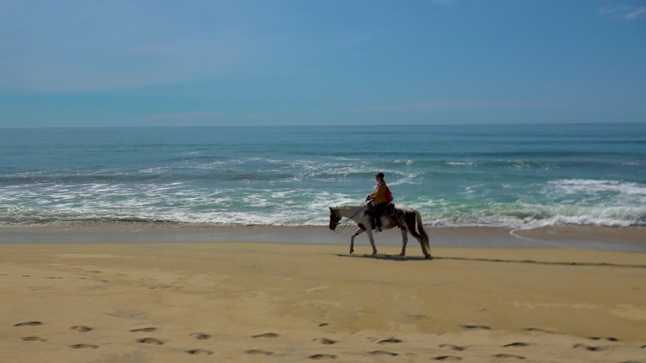 Horse and distant rider crossing beach sand with low ocean waves behind.