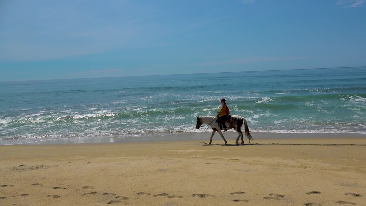 A distant rider on a dark horse crosses the sandy beach in San Jose Del Cabo, Mexico, with foamy surf behind and footprints in the foreground.