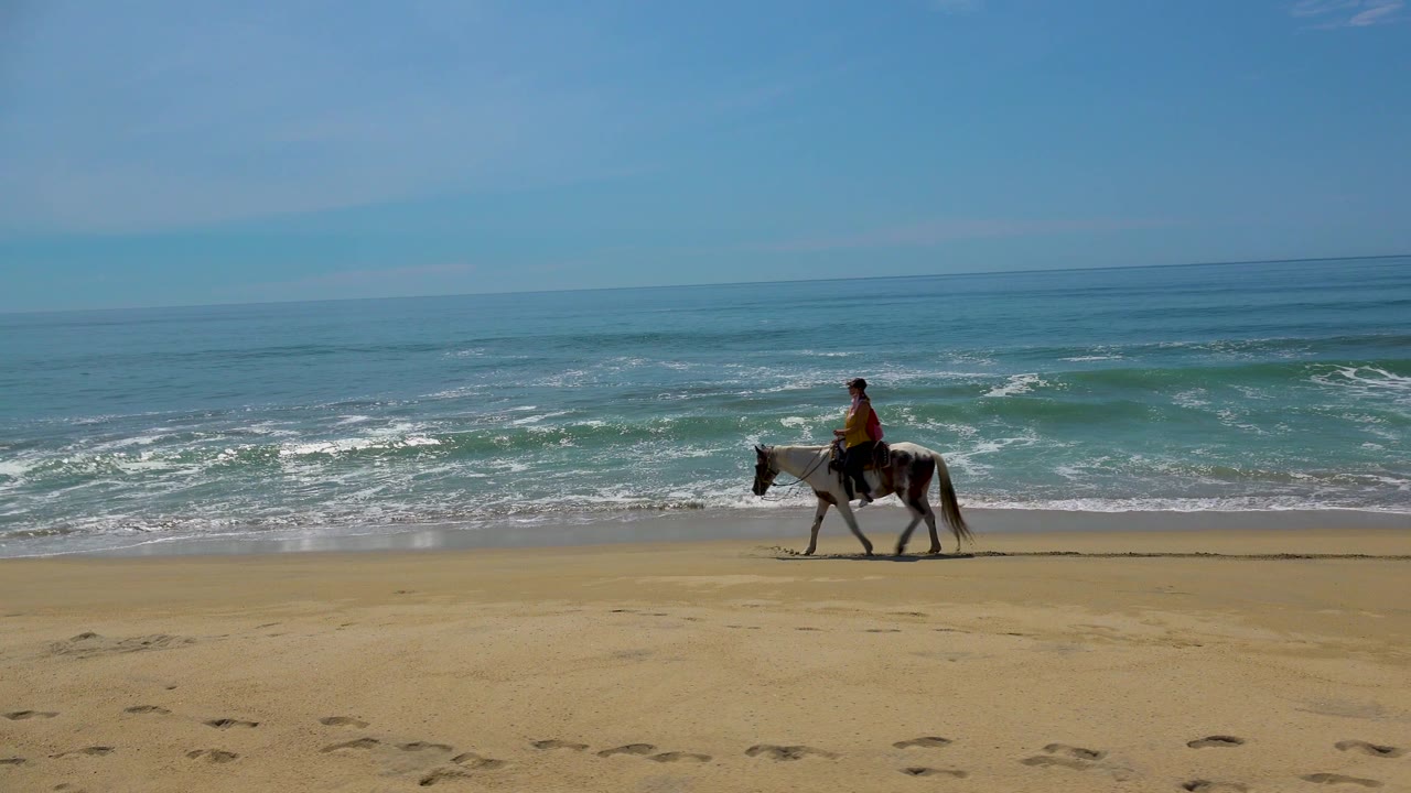 The rider and horse appear nearer the center of the wide San Jose Del Cabo beach frame, with low surf bands and a clear blue sky beyond.