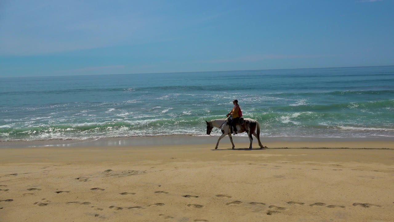 Horse and rider crossing beach sand with waves rolling in behind.