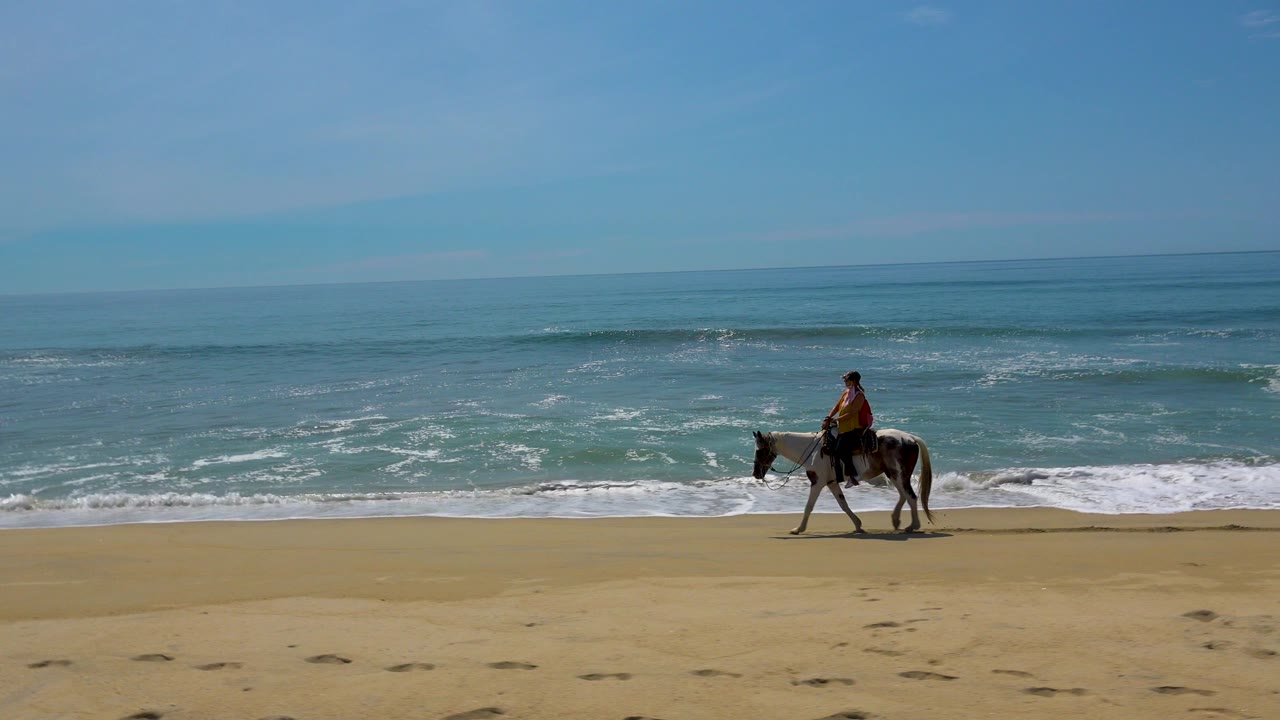 The rider and appaloosa continue along the San Jose Del Cabo shoreline, positioned low in the frame with foamy water washing in behind them.