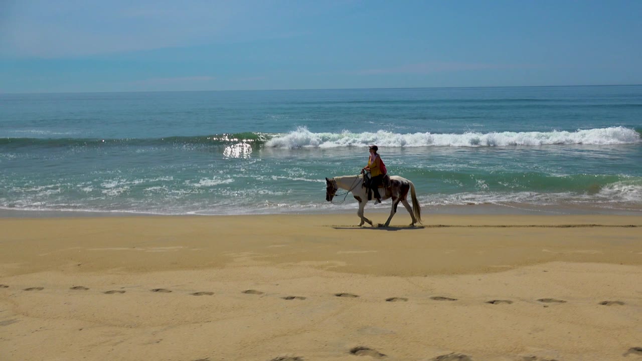 Rider on horseback crossing wet sand with surf behind.