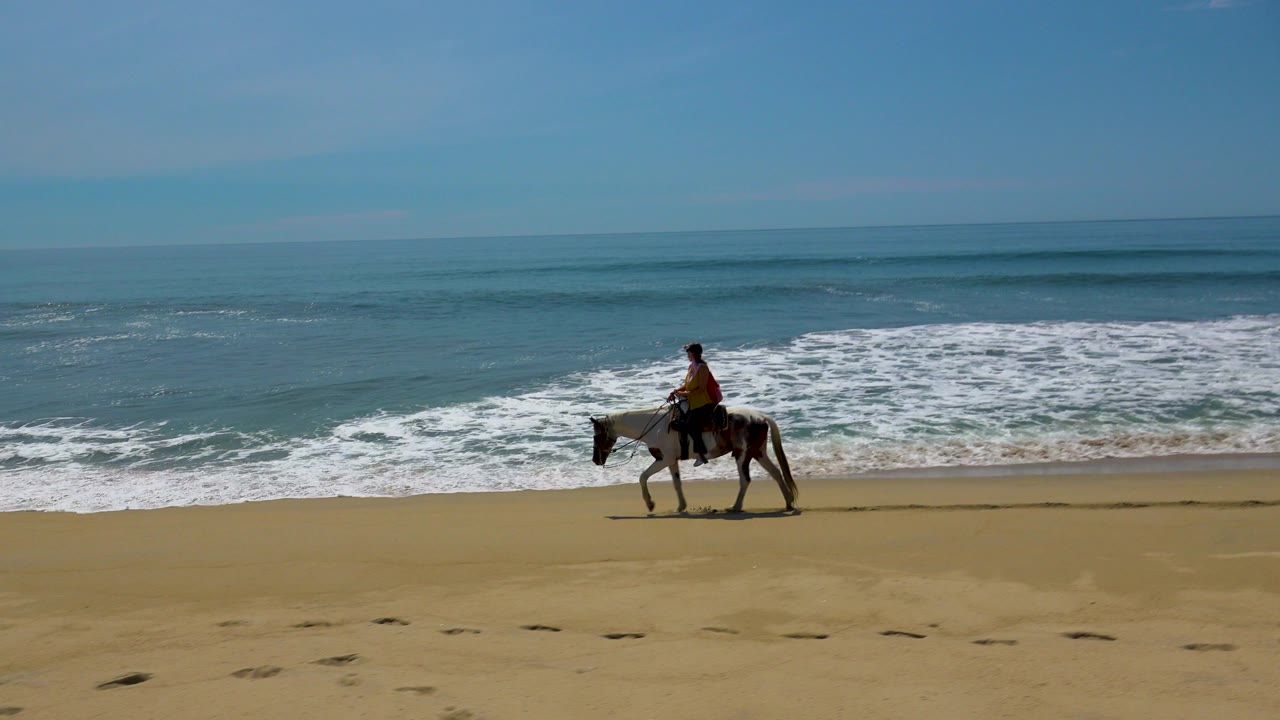 Horse and rider crossing beach with wave foam behind