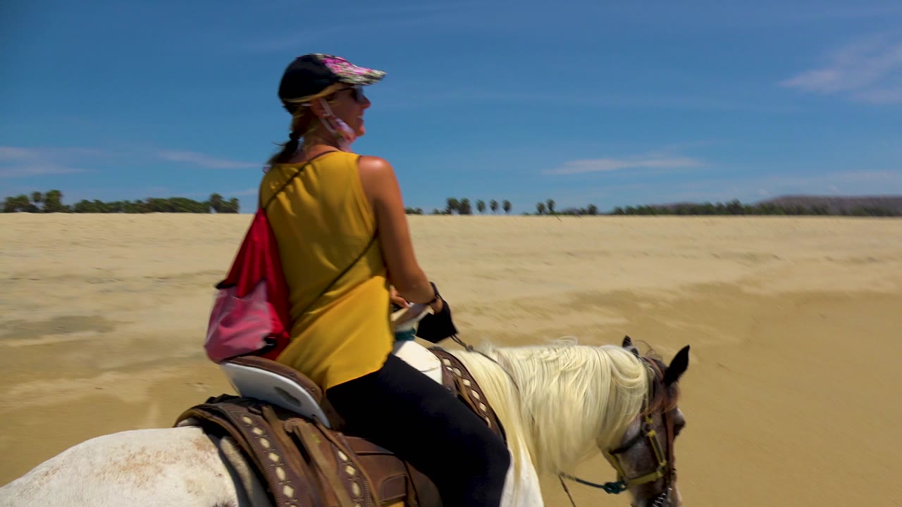 The rider in a yellow top sits forward on the white horse while the San Jose Del Cabo beach stretches ahead with sparse trees along the horizon.