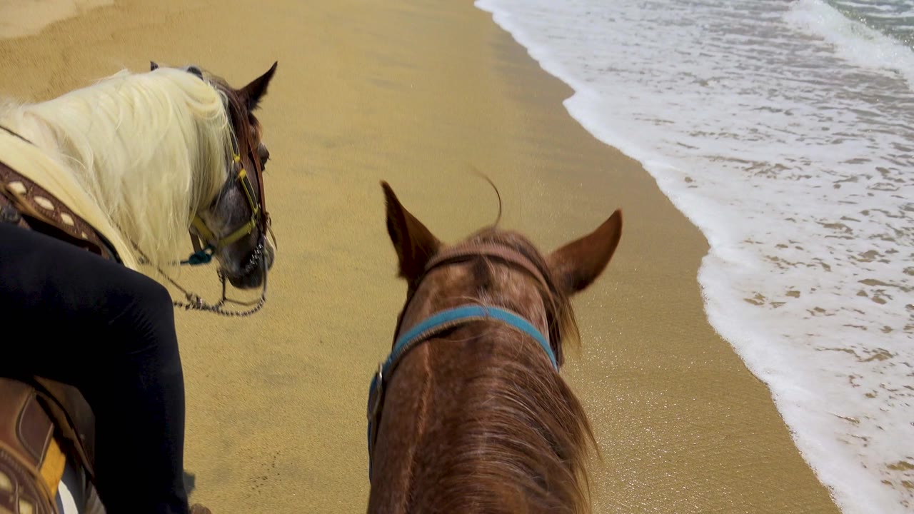 At 0:00, two horses are seen from behind on a San Jose Del Cabo beach, with white foam on the right and a rider's lower leg cropped at the left edge.
