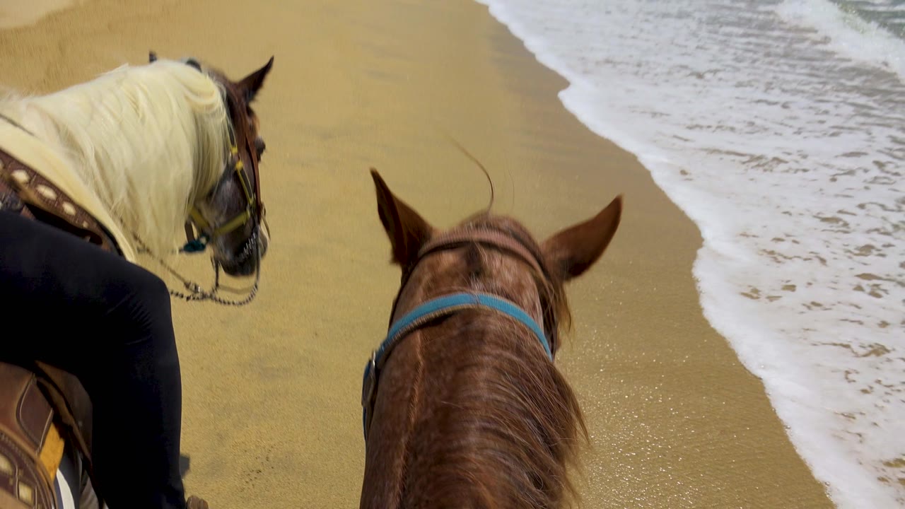 At 0:01, the brown horse remains centered while the pale-maned horse stays to the left and a line of white surf runs diagonally across the San Jose Del Cabo sand.