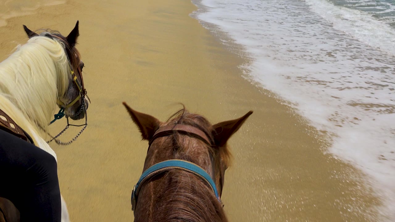 At 0:02, the horses are framed closer to the upper half of the beach view, with rippled wet sand below and the surf line curving along the right side in San Jose Del Cabo.