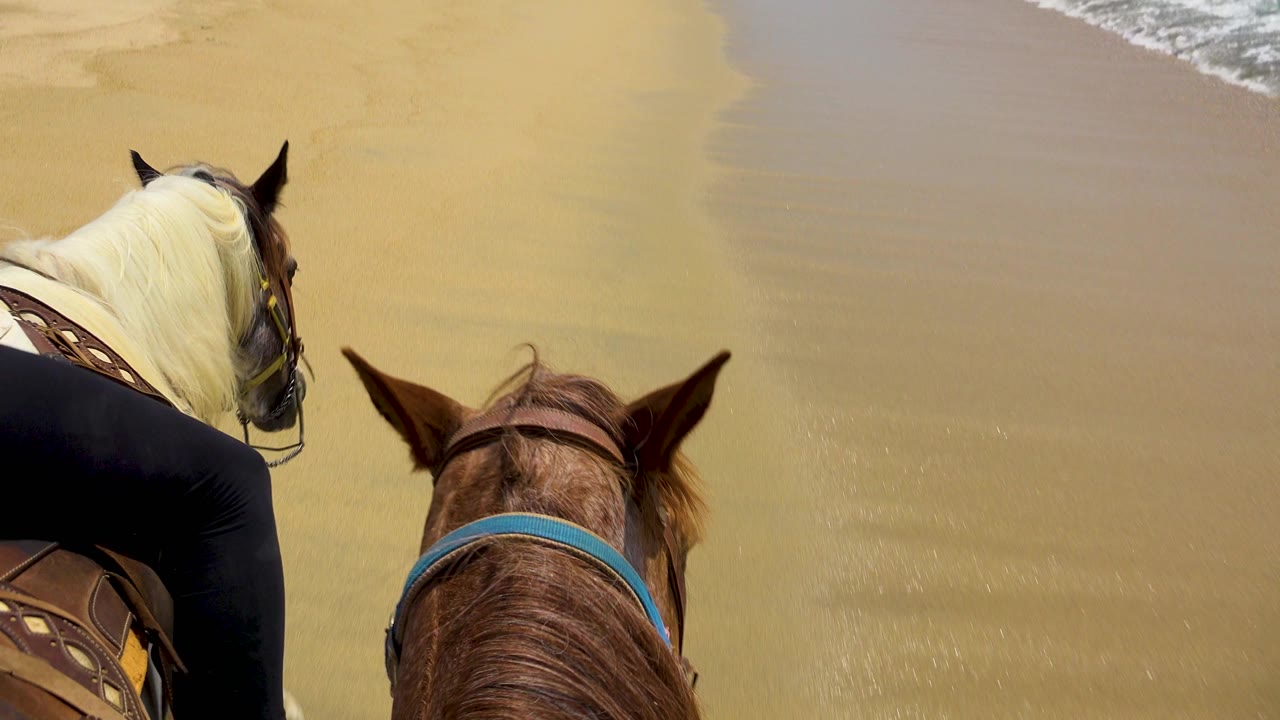 Rider-height view of two horses on wet sand in San Jose Del Cabo, with a small band of surf entering the upper right edge.
