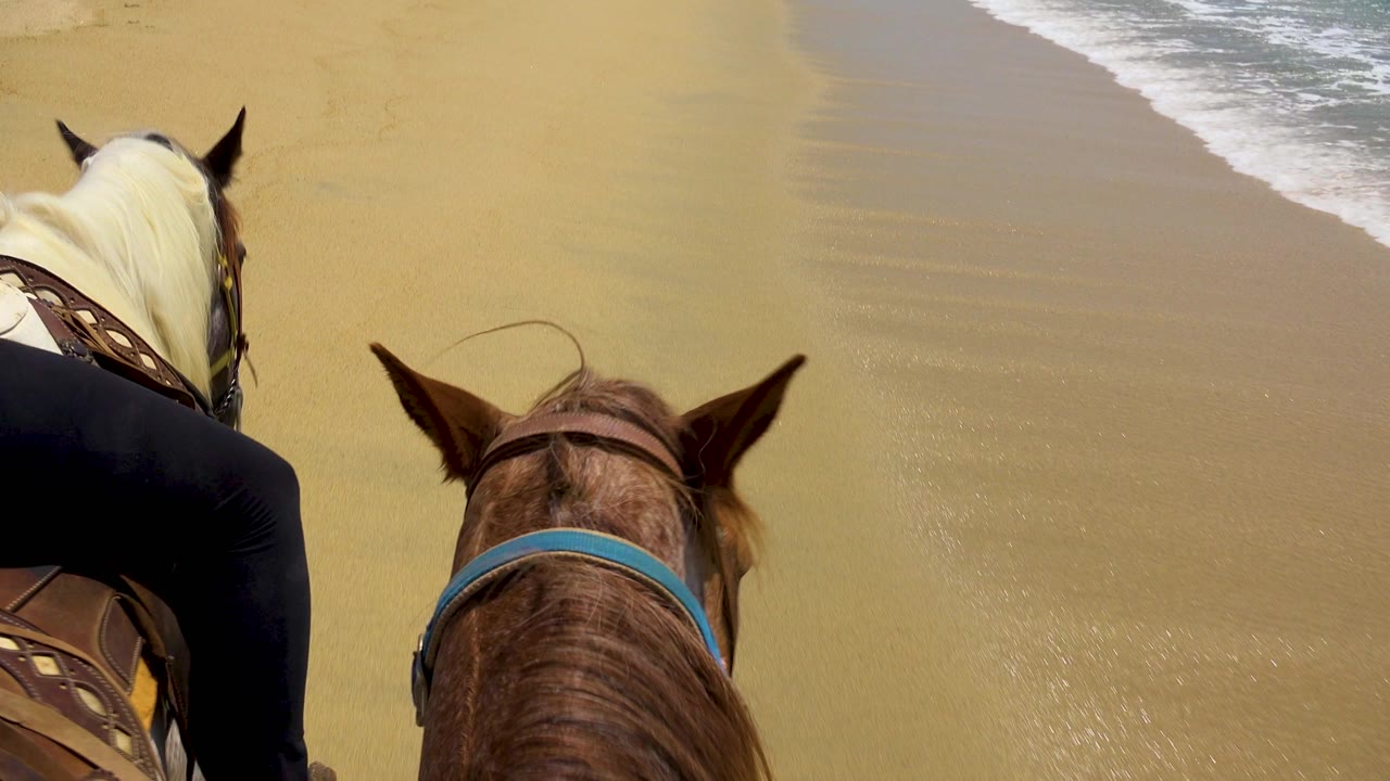The brown horse fills the center foreground while the white horse stays left and the surf line runs diagonally along the right side of the San Jose Del Cabo beach.