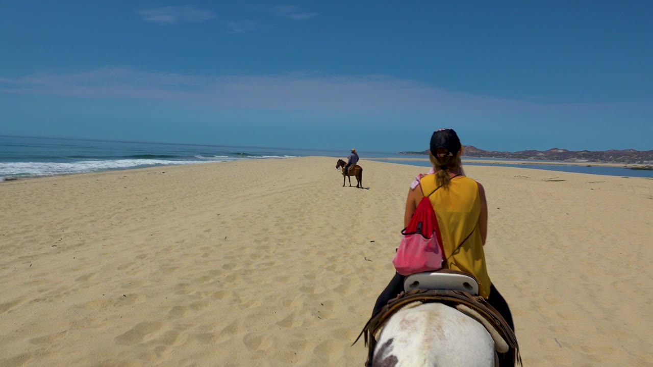Horseback rider seen from behind on sand near the ocean.