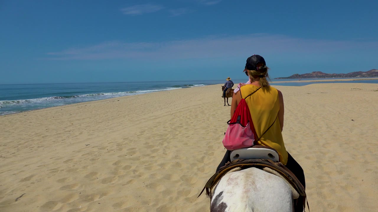 Rear view of a beach horse ride with another rider ahead near the shoreline