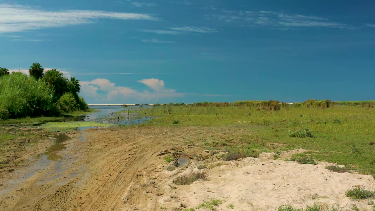San Jose Del Cabo shoreline view with more sandy foreground visible, low green vegetation across the midground, a narrow water channel at left, distant blue sea, and no visible people.