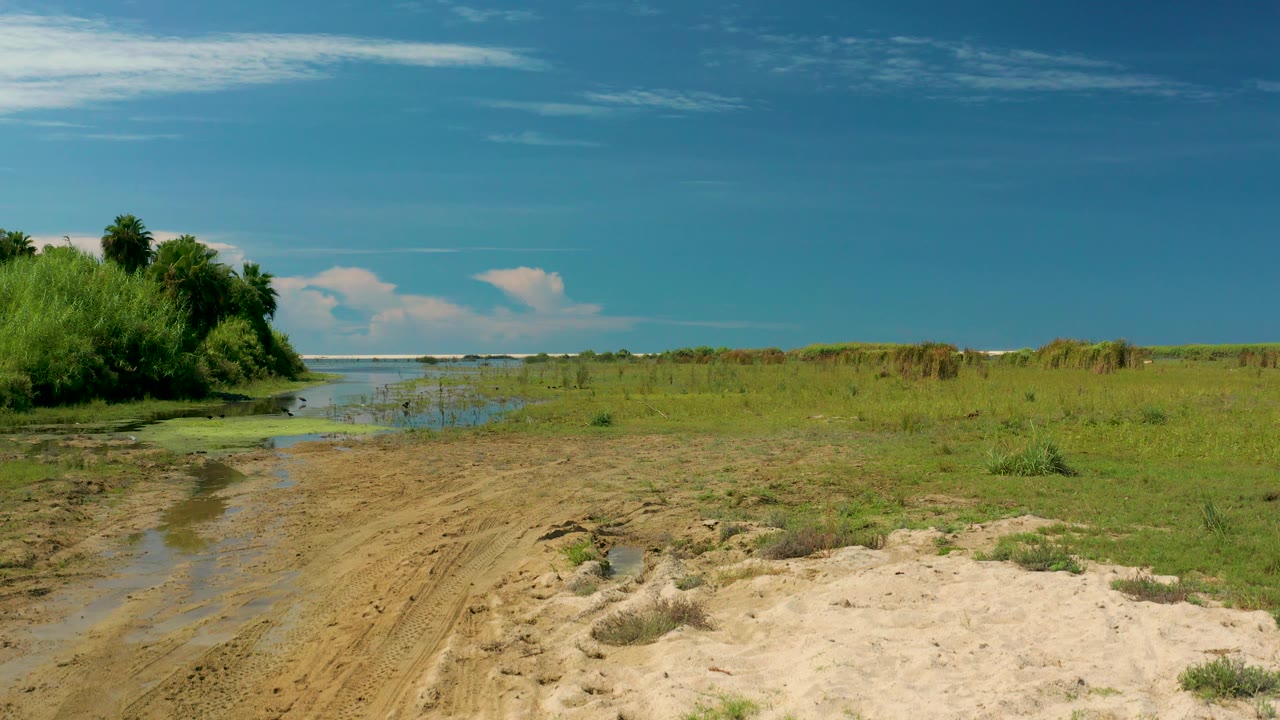 San Jose Del Cabo wetland channel runs through sandy grassland toward the distant ocean, with dense green vegetation on the left and no visible people.
