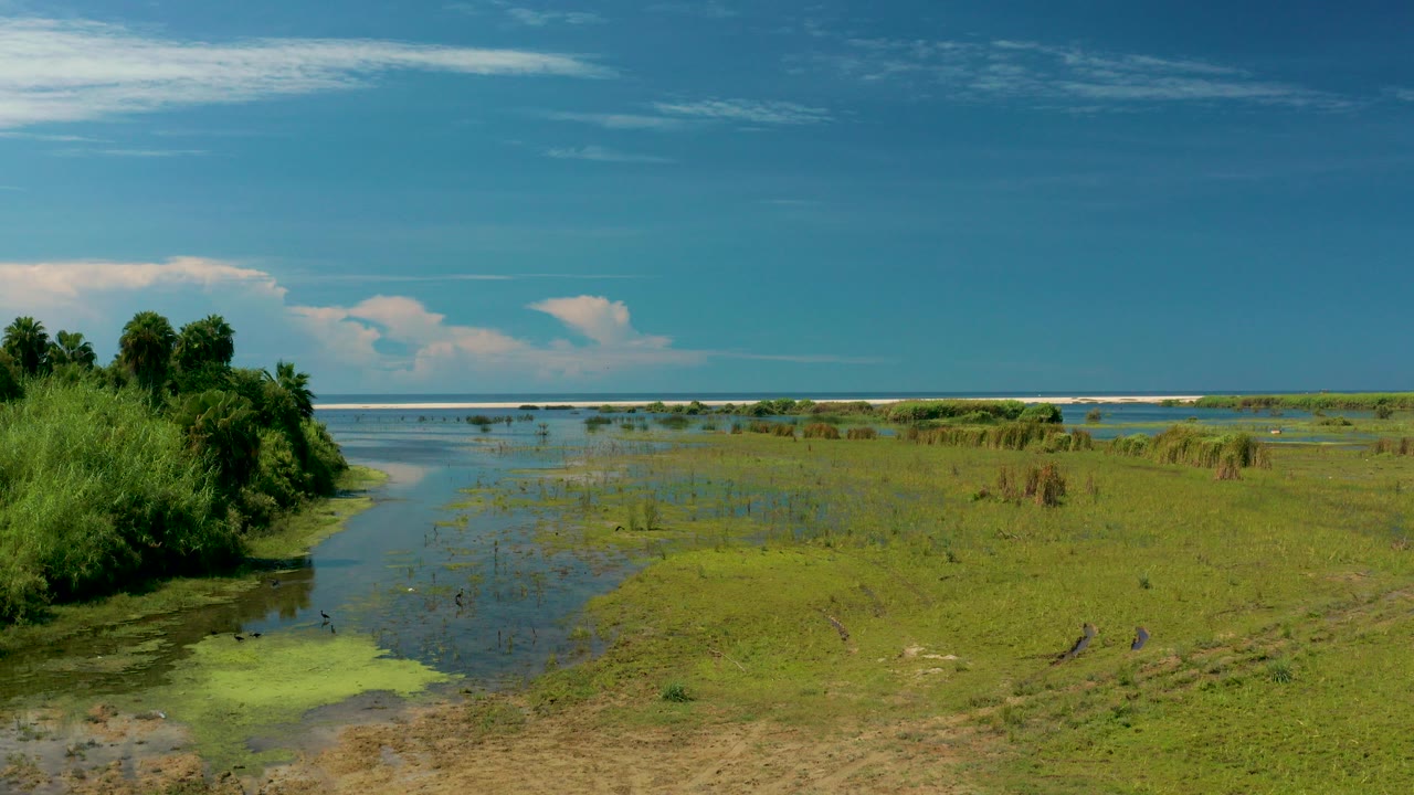 Opening frame of a San Jose del Cabo coastal marsh with dense trees at left, shallow water through green grass, a blue sky, distant ocean horizon, and no visible people.