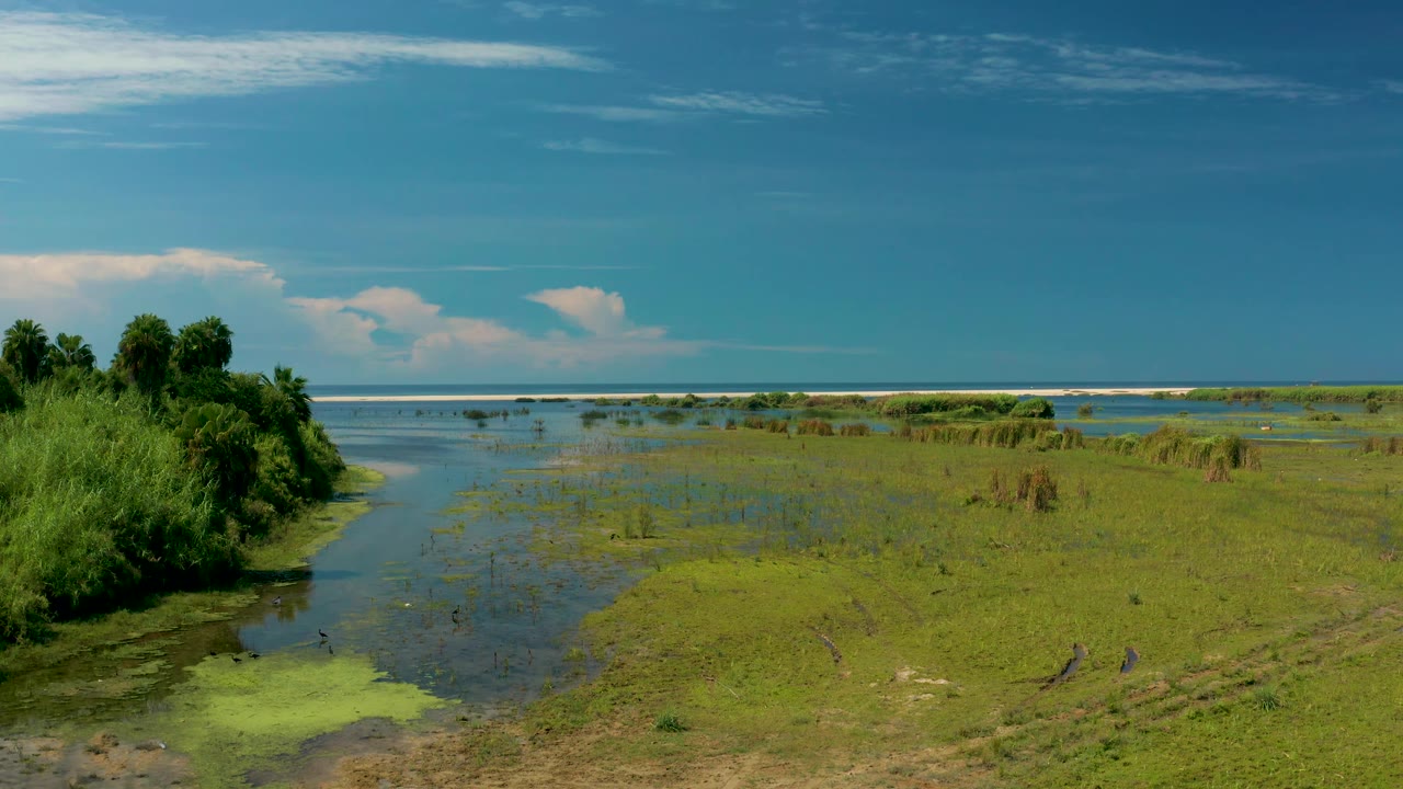 Third frame shows San Jose del Cabo marshland with left-side vegetation, shallow reflective water in the center, broad green flats, distant surf line, and no visible people.