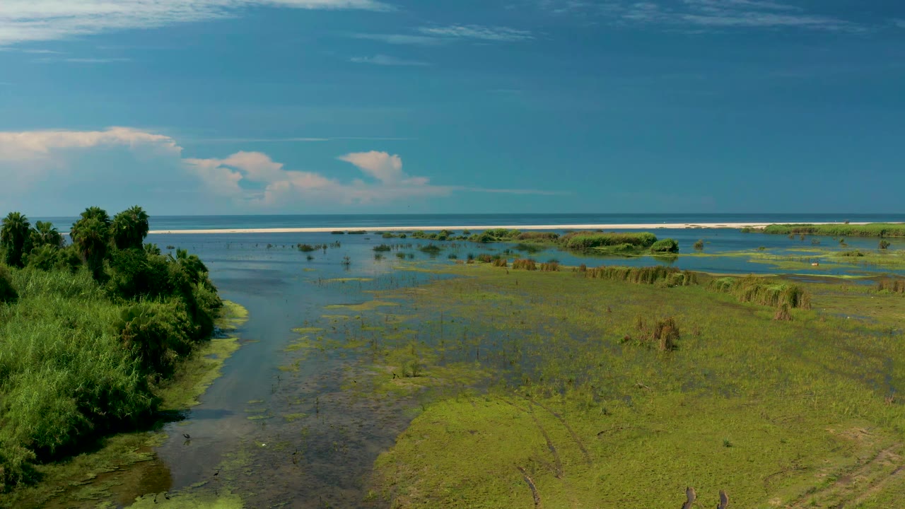 San Jose Del Cabo wetland frame with blue-green water spread through low marsh vegetation, darker shrubs along the left edge, and no visible people.