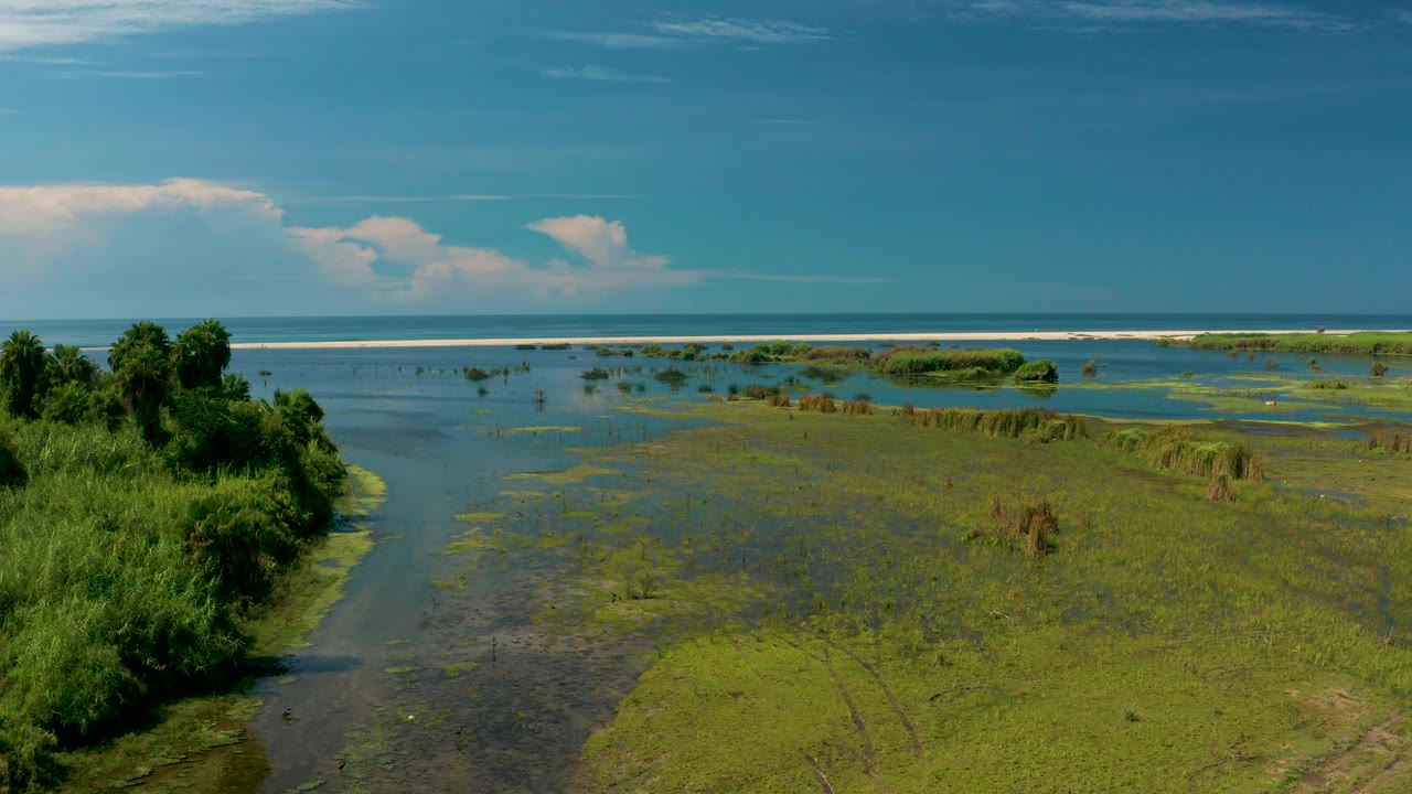San Jose Del Cabo water channels and marsh plants appear under a clear blue sky, with dense shrubs on the left and no visible people.