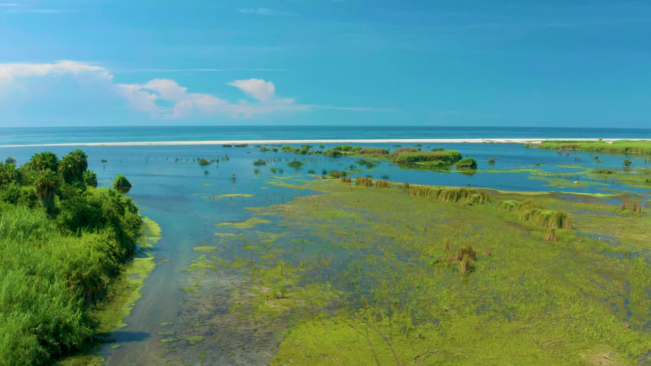 San Jose Del Cabo shoreline view with a larger block of foreground trees at lower right, patchy wetland grasses, shallow blue channels, white clouds, and no visible people.