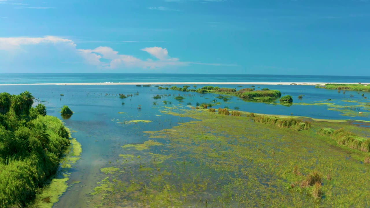Early frame in San Jose Del Cabo, Mexico showing shallow coastal water, broad green vegetation mats, a distant surf band, and no visible people.