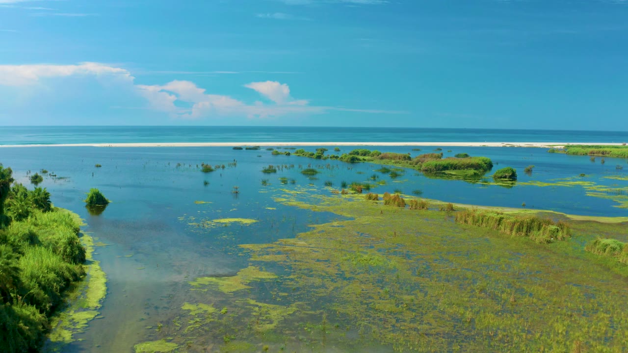 Mid-clip frame in San Jose Del Cabo, Mexico with a wider view of shallow water, green shoreline vegetation at the edges, distant surf, and no visible people.