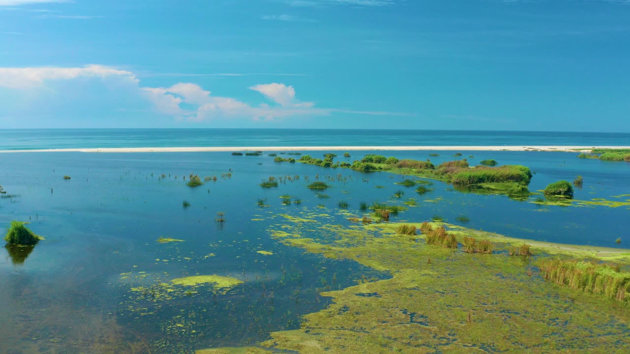 Wide aerial frame over San Jose Del Cabo water with green aquatic growth in the foreground, small vegetation patches across the lagoon, a pale surf line at the horizon, and no visible people.