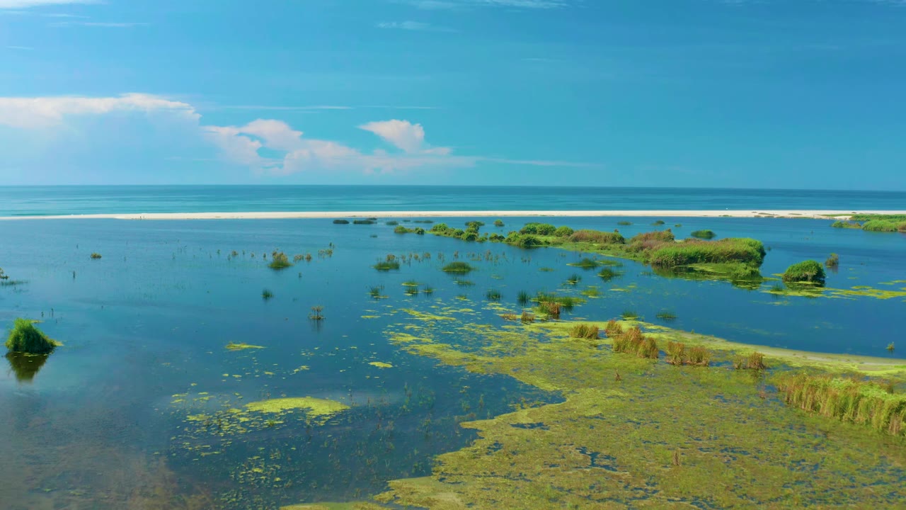 Aerial view in San Jose Del Cabo showing broader blue water across the center, green mats and reeds in the foreground, low shrub islands near the horizon, and no visible people.