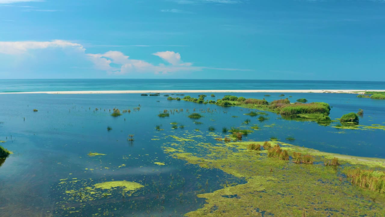 San Jose Del Cabo aerial frame with scattered green vegetation patches across blue lagoon water, a grass-edged shoreline at right, bright sky above, and no visible people.