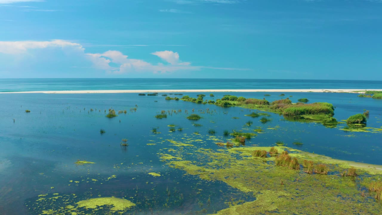 Wide San Jose Del Cabo coastal frame with a green plant mat at lower left, blue water channels through the center, low vegetation along the far shore, and no visible people.