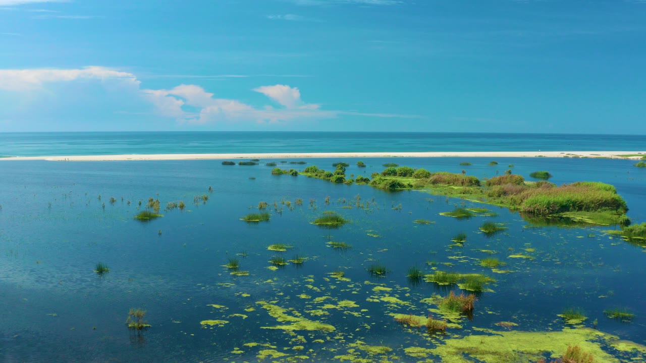 Aerial view of blue seawater, floating greenery, and a pale beach strip.