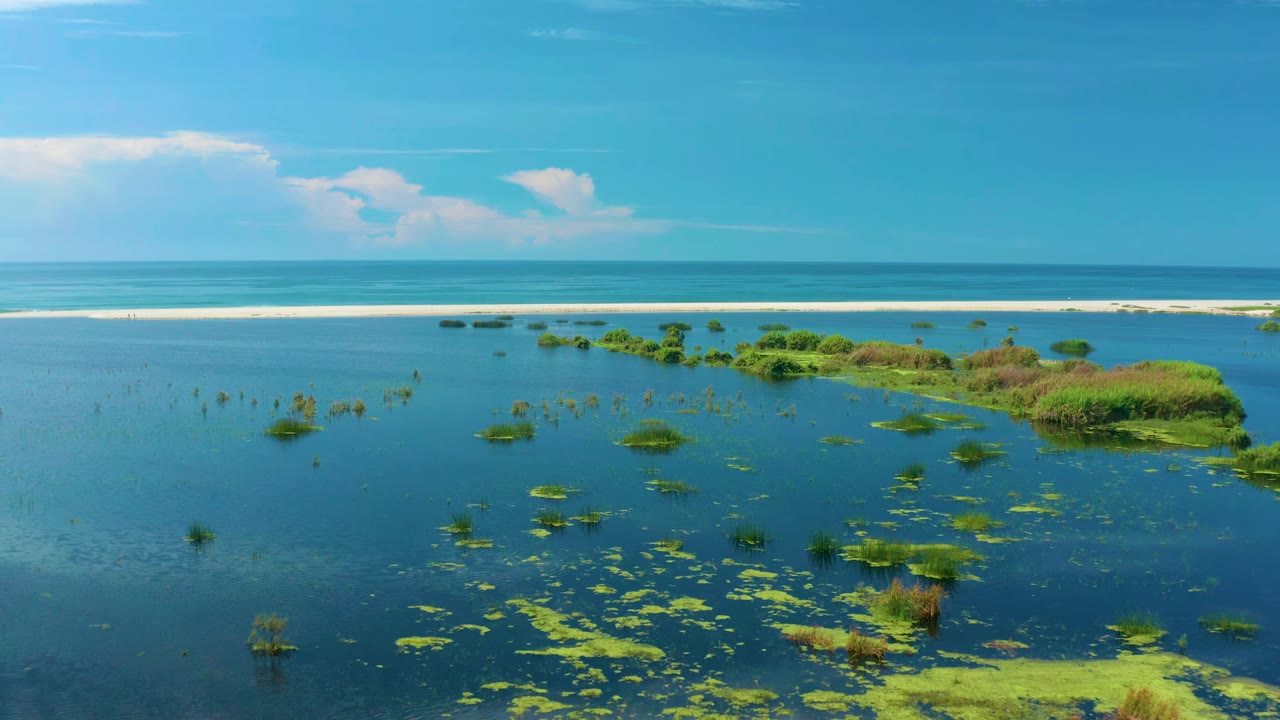 San Jose Del Cabo coastal water fills the frame, with low green vegetation spread across the shallows, a thin white beach strip in the background, and no visible people.