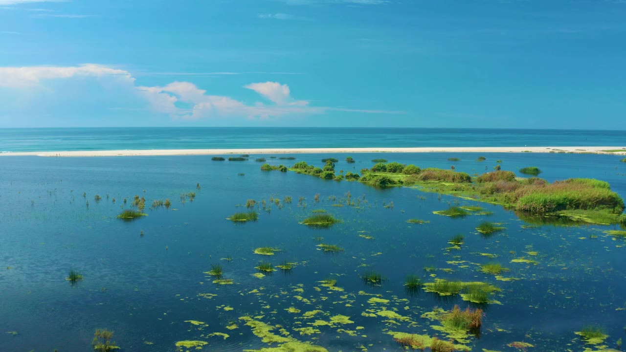The frame shows San Jose Del Cabo blue seawater with scattered reeds and floating green patches, a bright horizontal sandbar, distant surf, and no visible people.