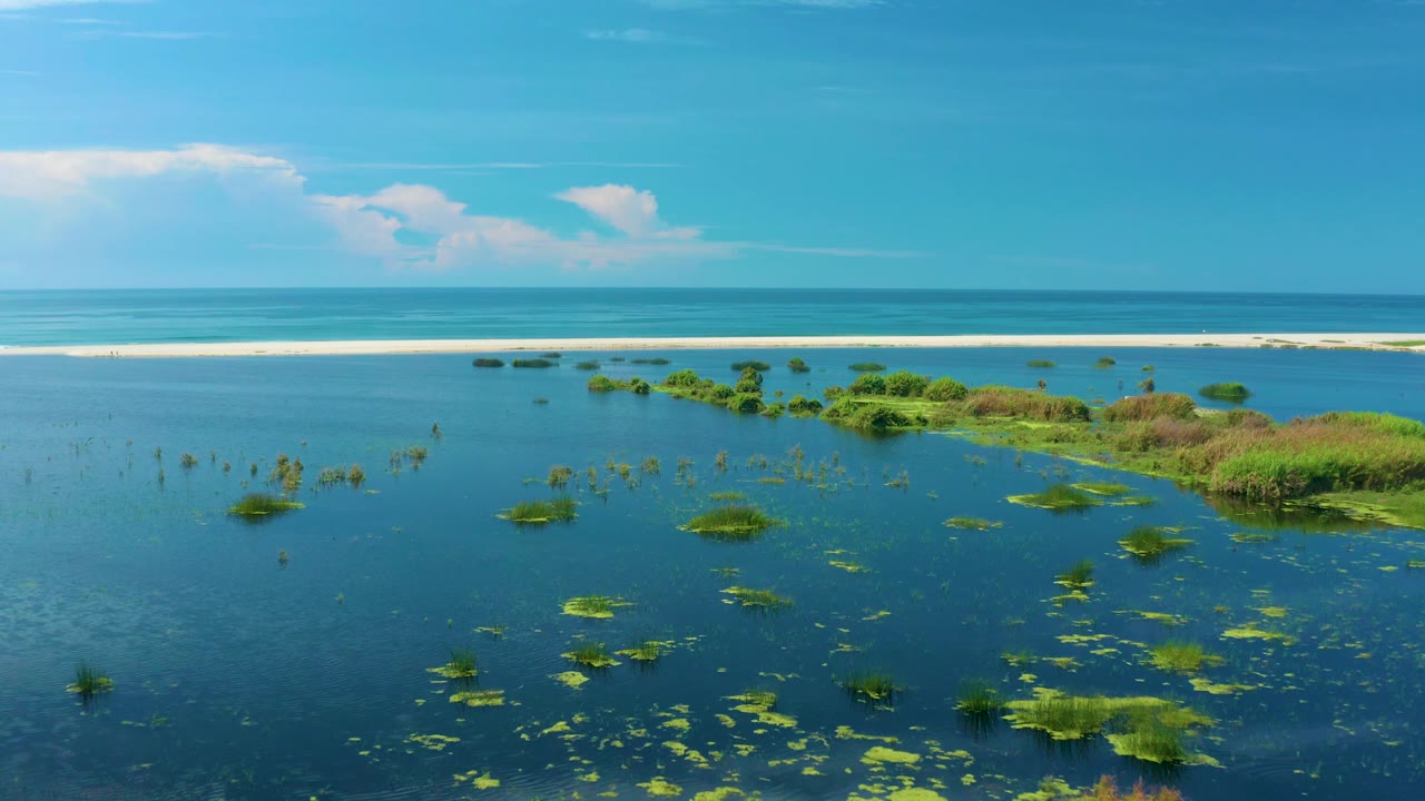 San Jose Del Cabo shallow seawater appears from an elevated angle, with small reed clusters in the foreground, thicker greenery at right, a white sandbar, and no visible people.