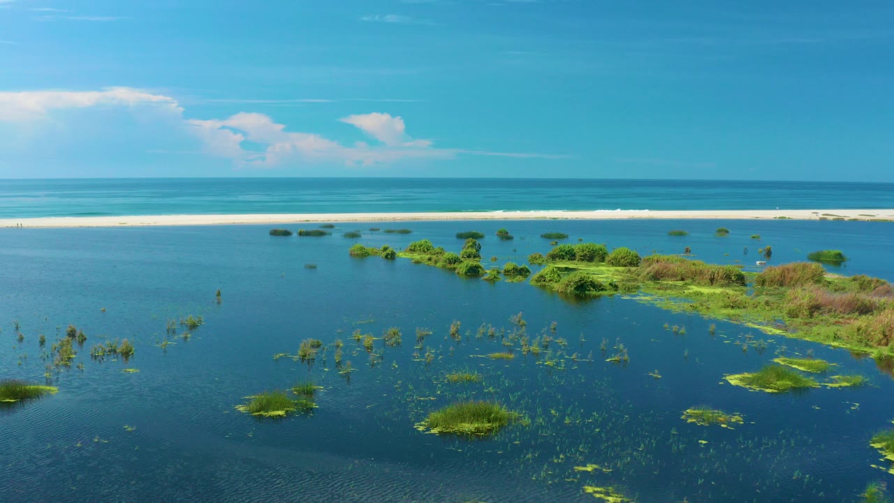 Aerial view of blue coastal water, green submerged vegetation, sandbar, surf, and sky.