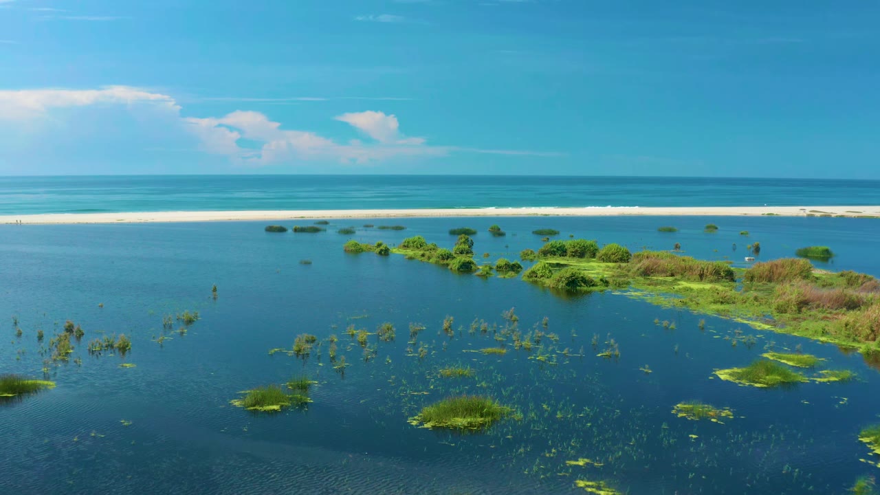 At 0:01, the elevated view over San Jose del Cabo coastal water keeps the green plant clusters in the lower half while the pale sandbar and ocean surf run horizontally across the background, with no visible people.