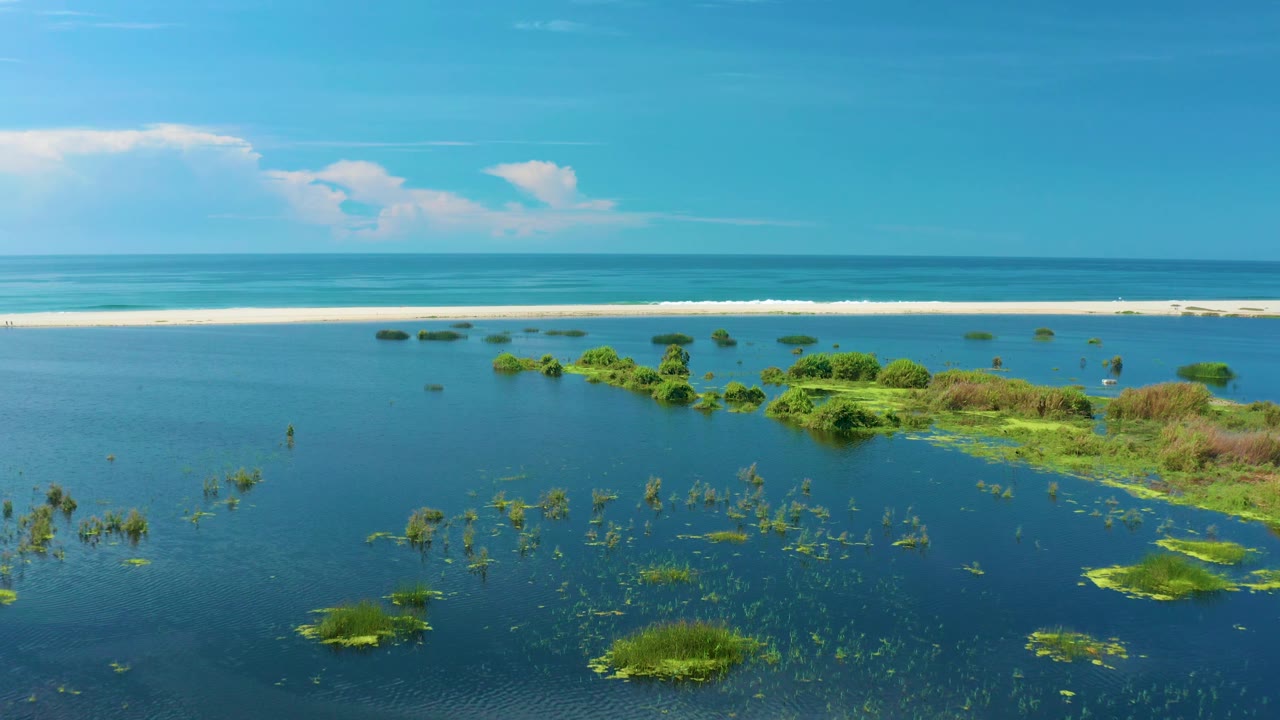 At 0:02, San Jose del Cabo blue water surrounds low green shrubs and submerged plants, with a bright sandbar and thin surf line separating the water from the sky, with no visible people.