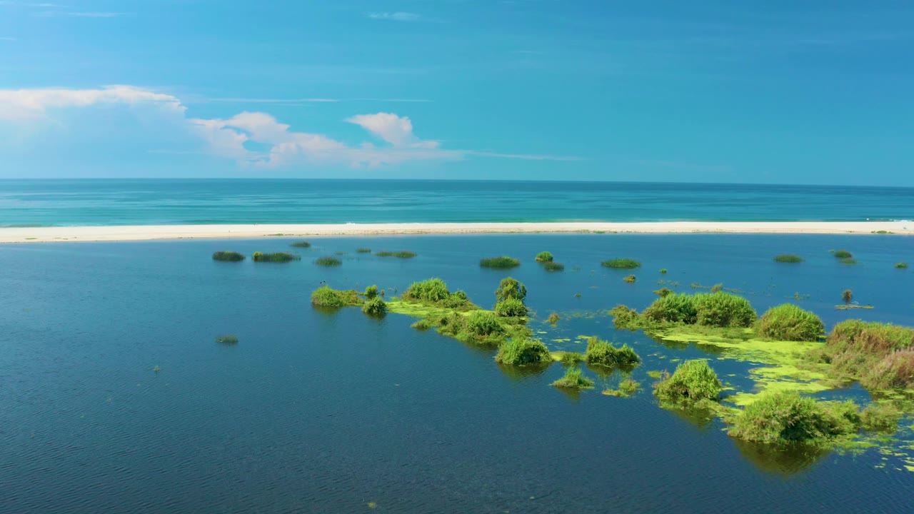 Wide aerial frame in San Jose Del Cabo, Mexico, where blue lagoon water fills most of the view, green plant patches sit near the middle, the sandbar runs behind them, and no people are visible.