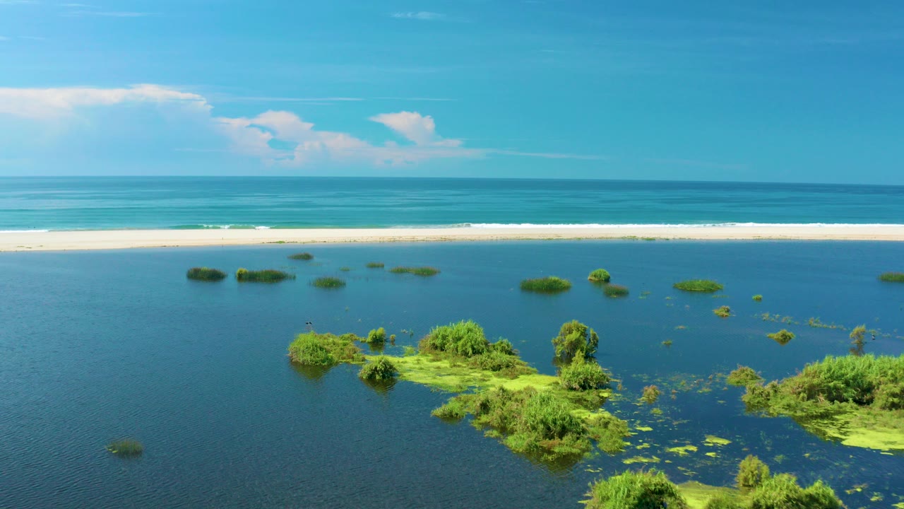 Aerial frame in San Jose del Cabo, Mexico showing flooded green tree tops in blue water, a pale beach, ocean waves, white clouds, and no visible people.