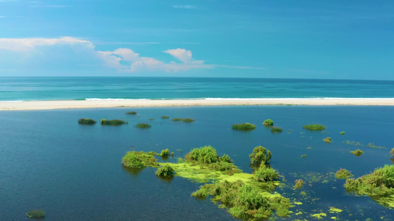 San Jose del Cabo aerial frame with scattered tree tops and small green patches in blue floodwater, a bright sand strip, distant ocean, high clouds, and no visible people.