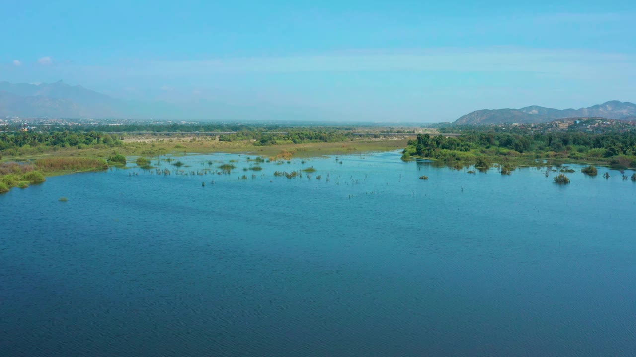 Aerial frame over calm blue water in San Jose Del Cabo, with scattered reeds near the shoreline, a green belt of vegetation, distant hills, and no visible people.