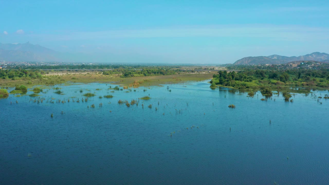 San Jose Del Cabo, Mexico wetland view with a broad blue water foreground, low marsh vegetation, a darker green tree area on the shore, distant hills, and no visible people.