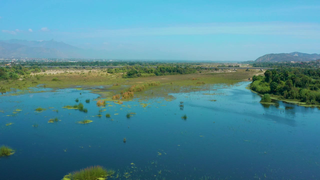 The frame shows San Jose Del Cabo wetland water with floating grass clumps nearer the camera, a compact green bank at right, low hills on the horizon, and no visible people.