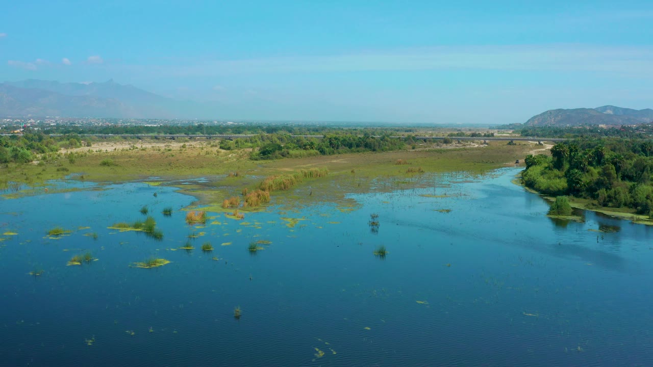 Aerial frame from San Jose Del Cabo, Mexico, with wetland water across the foreground, reed clusters in the midground, a green tree line to the right, distant hazy hills, and no visible people.