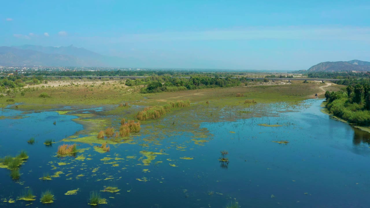 San Jose Del Cabo aerial view with dark blue water in the foreground, patchy floating plants, tan reed clusters, low grassland, trees, and no visible people.