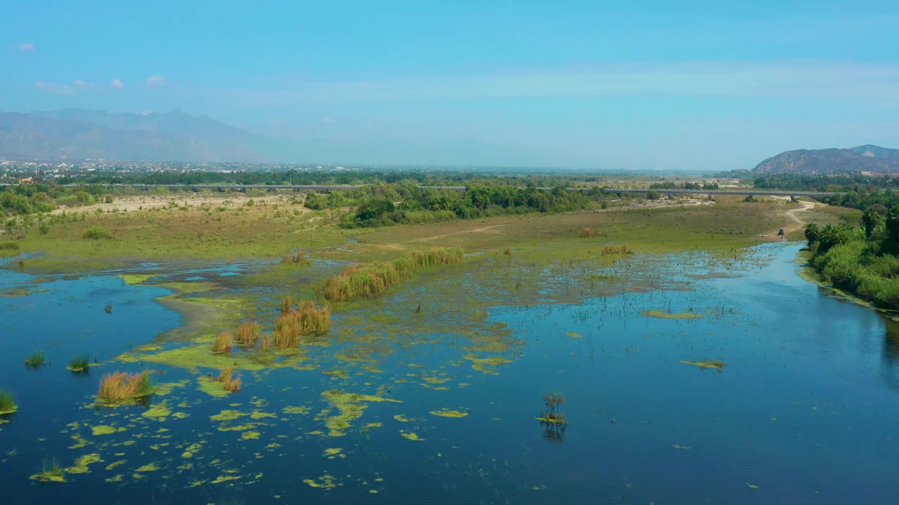 A wide San Jose Del Cabo frame shows water across the lower half, green and tan grasses in the midground, a tree line to the right, distant hills, and no visible people.