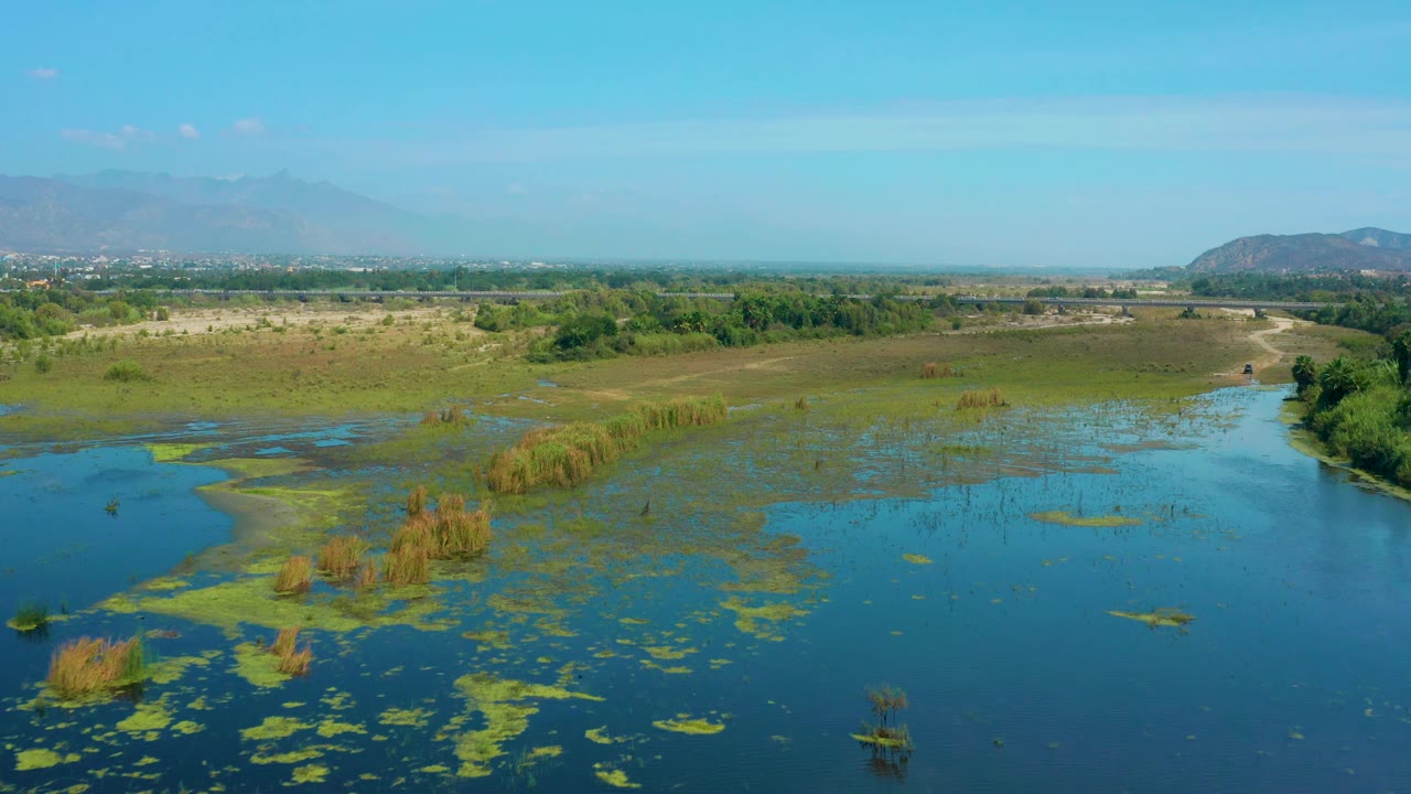 San Jose Del Cabo aerial frame with shallow blue water, scattered plant mats, reed patches, flat grassy terrain, a wooded edge, distant hills, and no visible people.