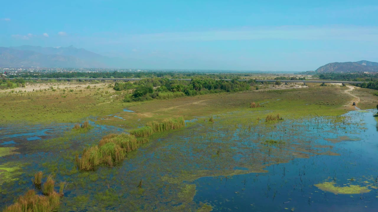 Drone view over San Jose Del Cabo wetlands with reed beds crossing shallow water, tan dry ground, a tree line, distant hills, and no visible people.