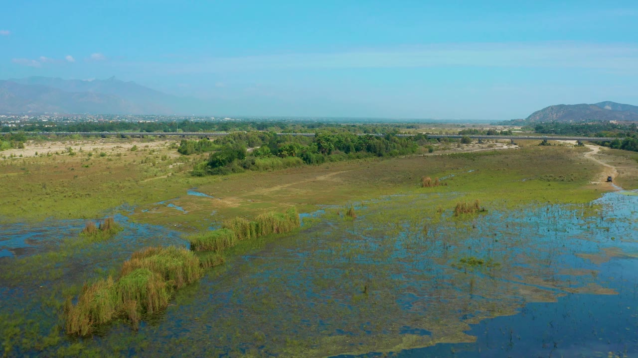Aerial view in San Jose Del Cabo showing water channels through green marsh, reed clusters in the foreground, tan open ground, distant trees, hills, and no visible people.